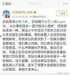 吃瓜娱乐圈二字网名大全,揭秘明星幕后故事