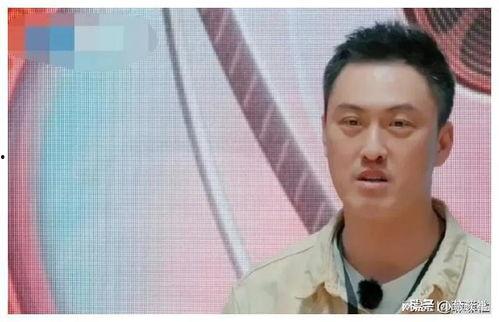 娱乐圈吃瓜爆料邓为,娱乐圈风云再起，揭秘明星背后的故事